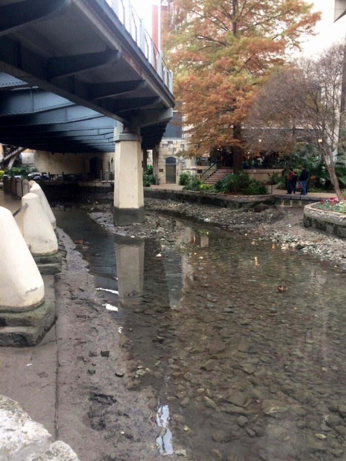 thumb_thumb_IMG_3904_1024_1024